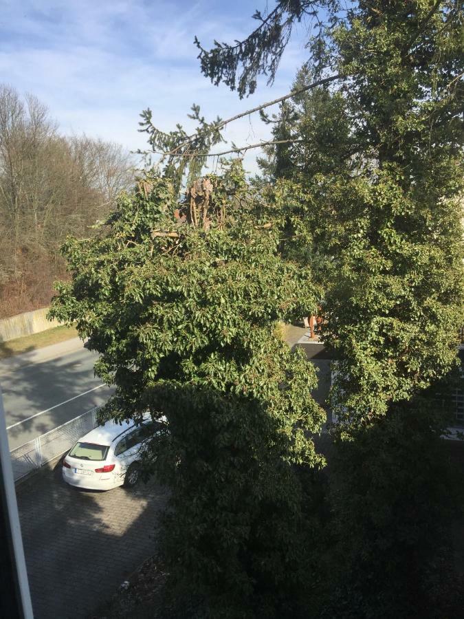 Apartment Rheingold Bayreuth Esterno foto